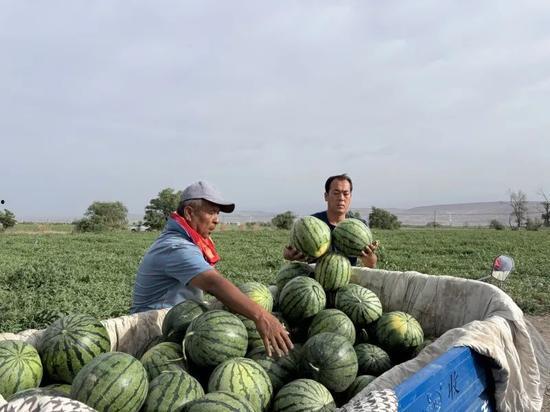 在线吃瓜视频免费一区,揭秘网络吃瓜界的秘密花园 第1张 在线吃瓜视频免费一区,揭秘网络吃瓜界的秘密花园 第1张