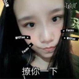 网友爆料女朋友视频大全,女朋友视频大全，揭秘甜蜜瞬间