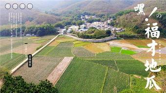 网红吃瓜营地,揭秘娱乐圈幕后风云 第3张 网红吃瓜营地,揭秘娱乐圈幕后风云 第3张